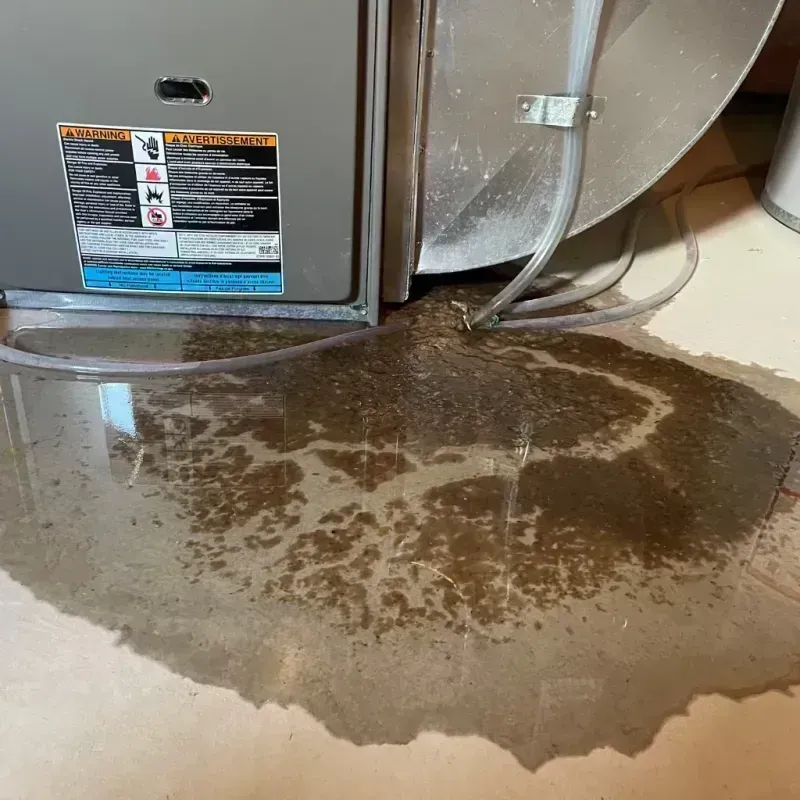 Appliance Leak Cleanup in Southglenn, CO